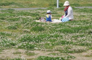 大阪府営 寝屋川公園